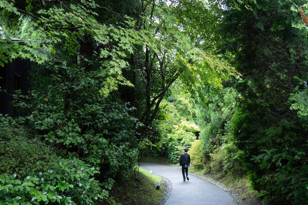 其實界 阿蘇不單提供一泊二食，還有「芬多精與負離子無限暢飲」。往來本館與客房之間，身體也別閒著，蜿蜒小徑上茂密的植被，是視覺饗宴是嗅覺饗宴，也是知識的饗宴，快來試試你能辨認多少植物品種？ ©陳育陞/旅讀